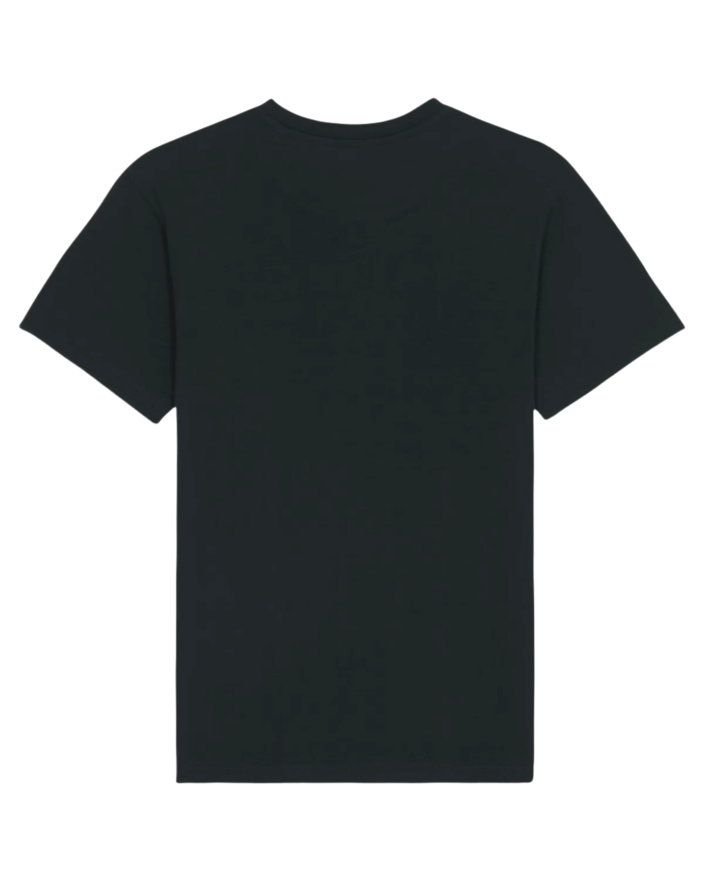 Split Fiction - T-shirt Noir (Logo Chinois)