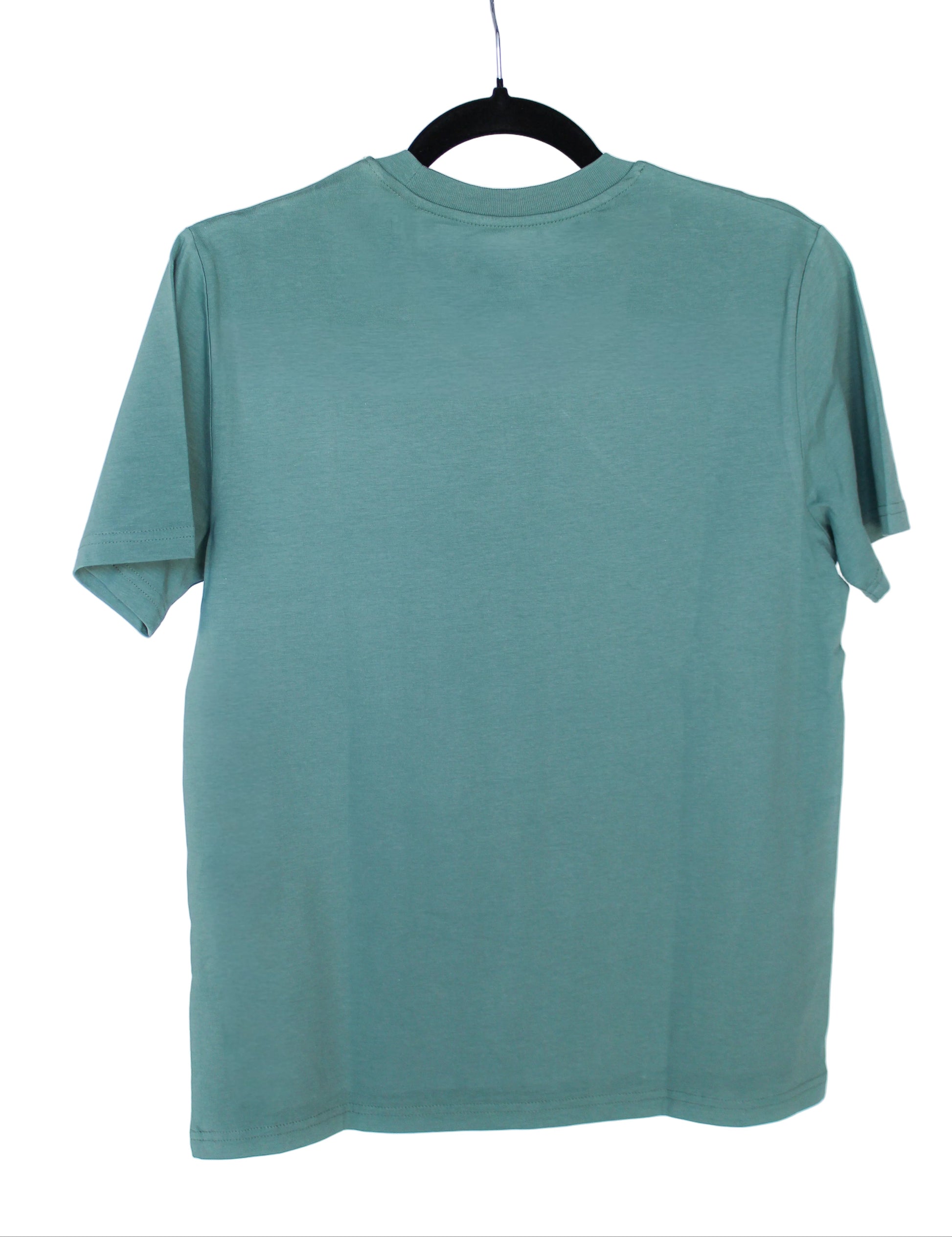 It Takes Two ⎟Cody⎟T-shirt (Sage Green) - Official Hazelight Gear Store